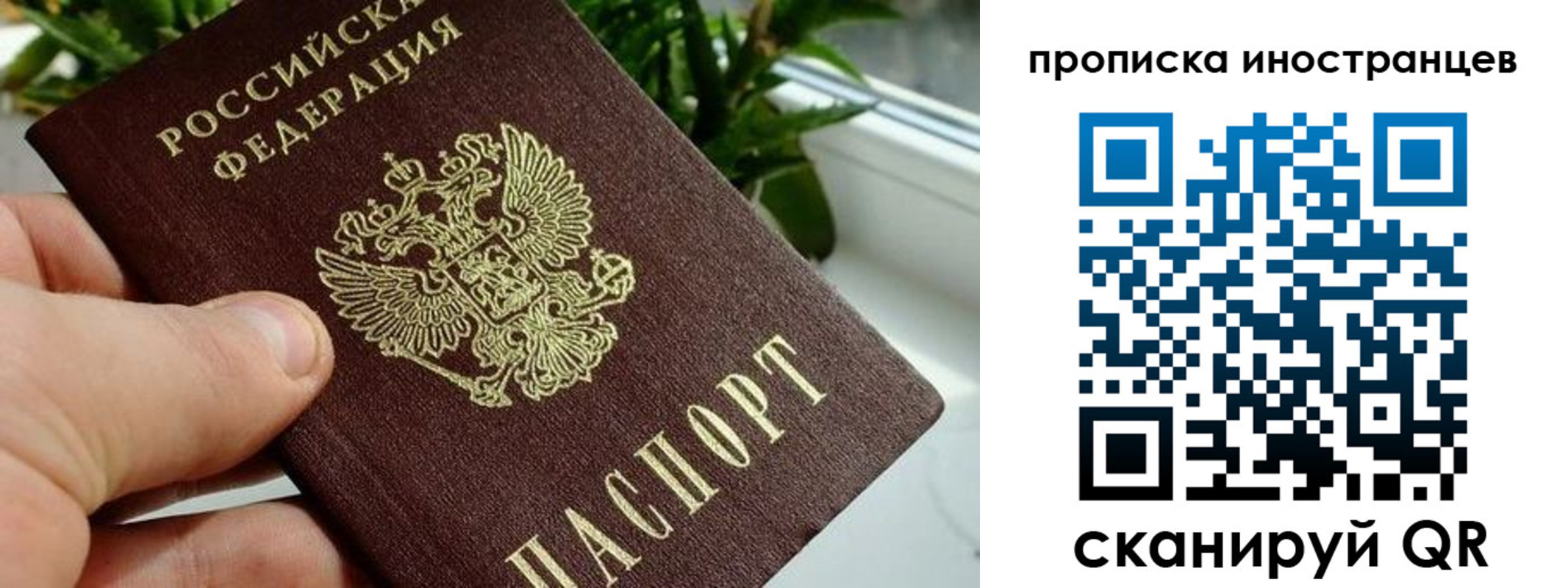 временная регистрация в Чаплыгине